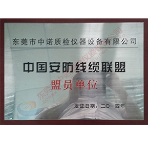 หน่วยสมาชิกสหภาพสายเคเบิลความปลอดภัยแห่งประเทศจีน